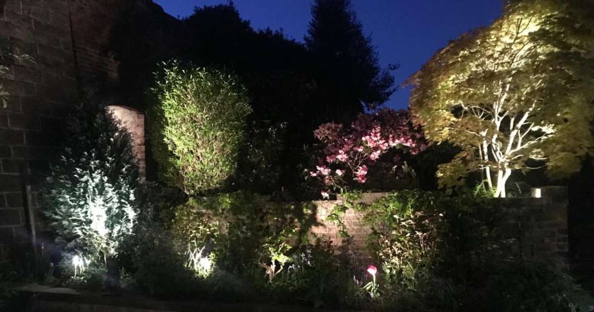 12v outdoor garden lighting installation completed in Derby, West Midlands. Low voltage outdoor spotlight fixtures illuminating plants and trees in cottage garden - Oakland Group, Outdoor Garden Lighting Design and Installation Services.