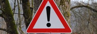 emergency sign on woodland tree 
