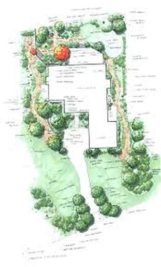 Landscape design - planting details