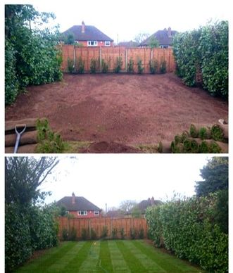 turfing before and after