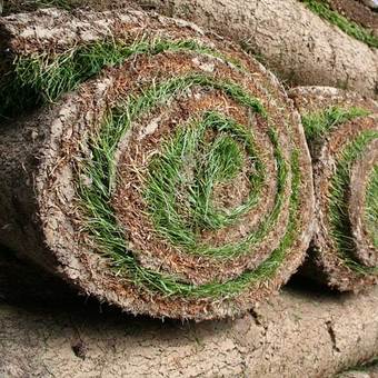 rolls of turf