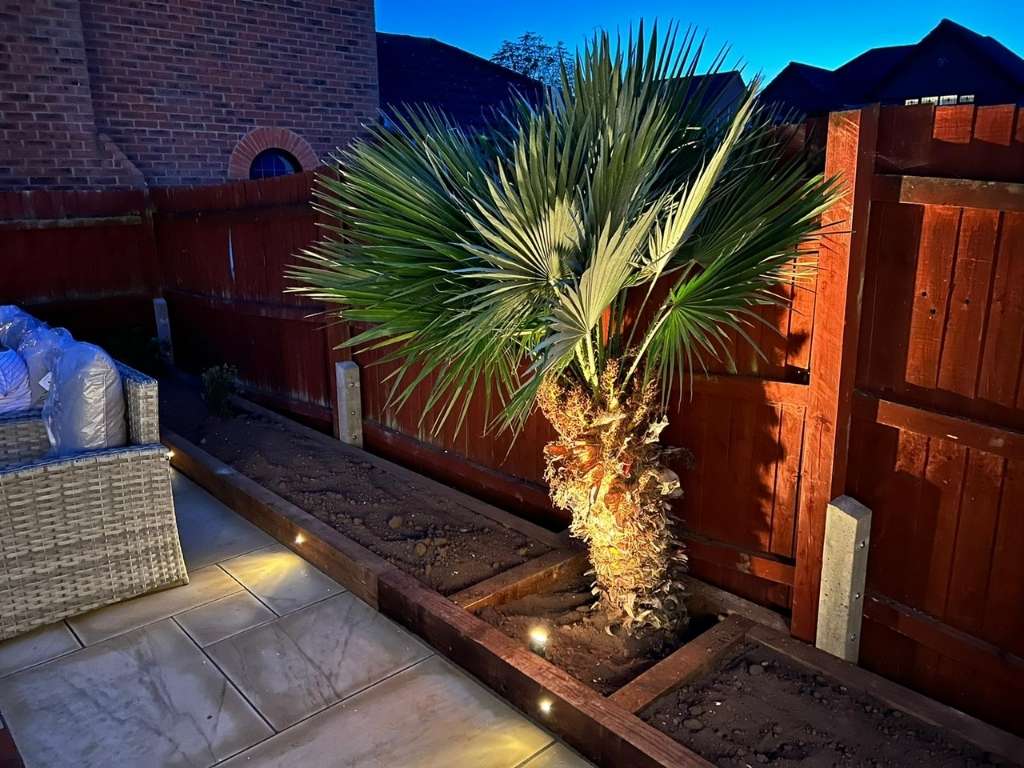 Safe low voltage, high quality 12v outdoor spotlghts uplighting palm tree with accent lighting patio borders in garden renovation project in heathcote, warwick - Oakland Group.