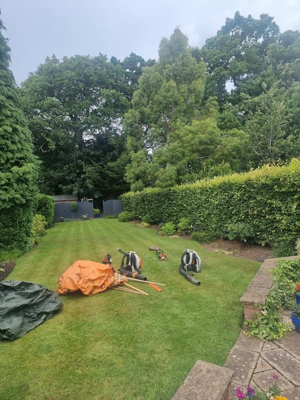 Hedge maintenance works to start with outdoor equipment on lawn in mature garden.