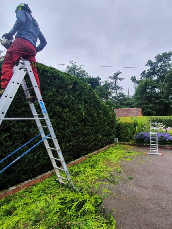 Hedge trimming and garden borders maintenance performed by outdoor services team.