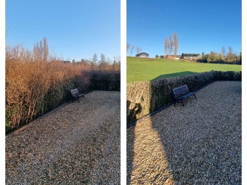 Mixed native species hedgerow reduction works, before and after maintenance works.