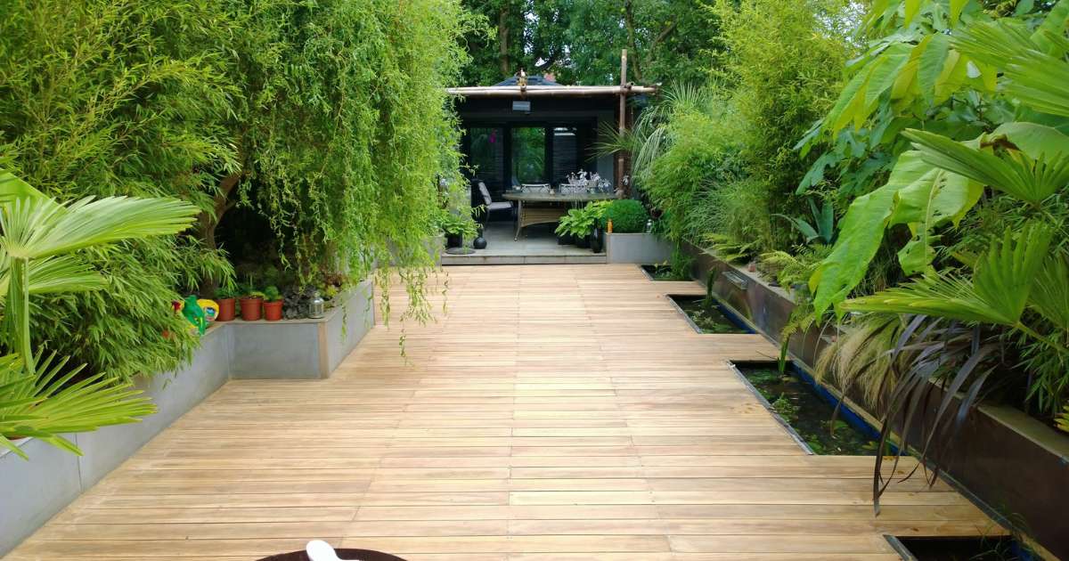iGarden Vision, Contemporary Outdoor Living, tropical style garden, studio, water features built into decking.