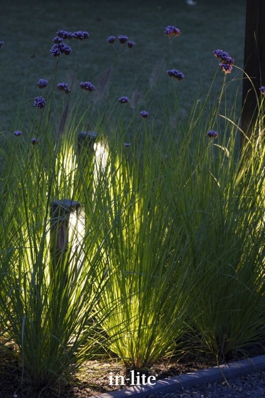 in-lite ACE HIGH DARK 12v outdoor bollard lights, positioned upright along a pathway border, illuminating through tall grasses along the pathway with a targeted light spread either side of the fixture. Low voltage outdoor garden lights, atmospheric path lighting for ambiance.