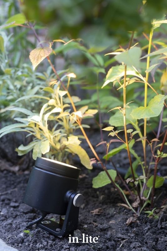 in-lite MINI SCOPE 12v outdoor spotlight with ground spike, positioned in soil, with tilted lighthead illuminating shrubs in planting bed. Low voltage outdoor garden lights, atmospheric lighting for ambiance.
