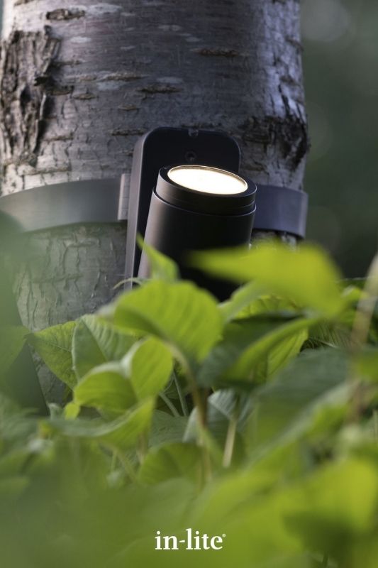 in-lite SCOPE 12v outdoor spotlight and BRACE mounting accessory elevated around tree trunk. Low voltage outdoor garden lights, atmospheric lighting for ambiance.