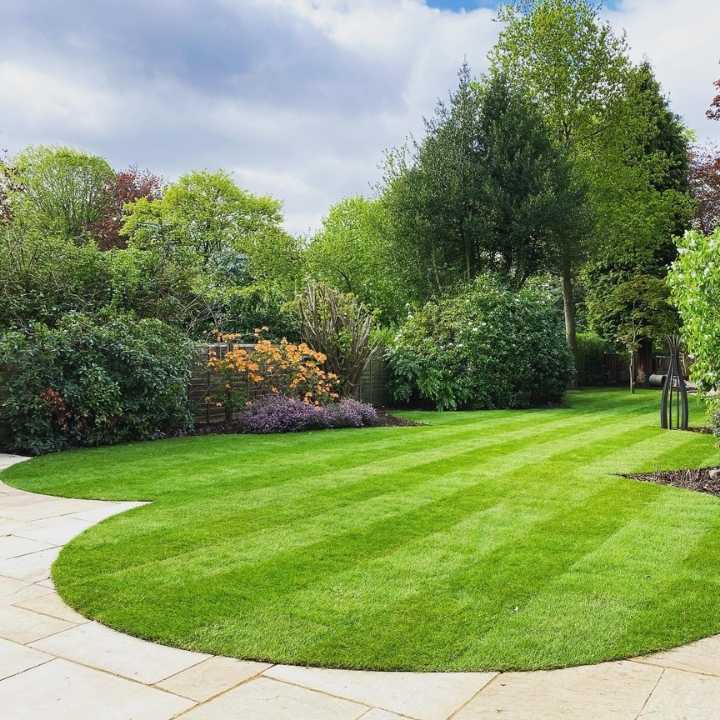 Mature rear garden in special landscape transformation garden design and build project in Solihull, West Midlands - Oakland Group.