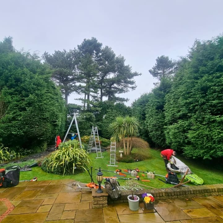 Outdoor maintenance service team carrying out trimming works on hedges around a garden.