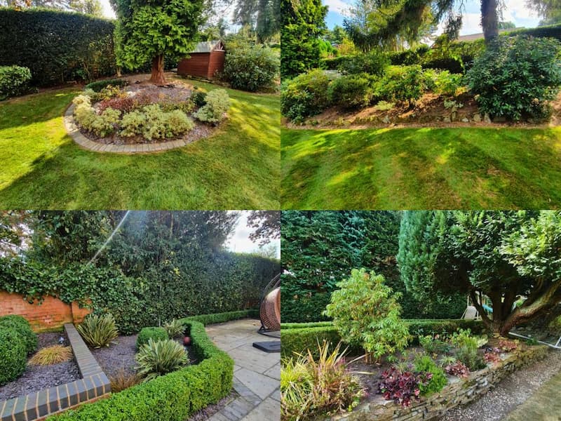 Garden borders, shrubs and hedges maintained by outdoor maintenance team.