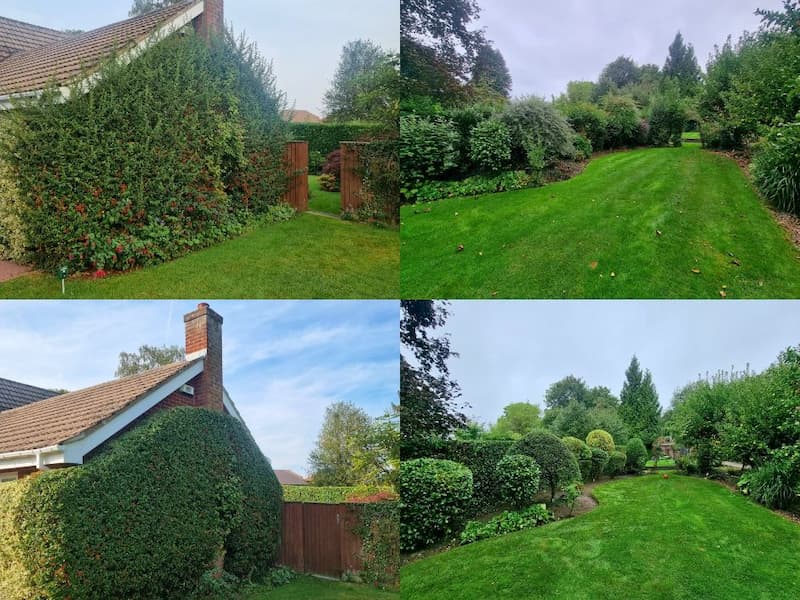 Garden hedges, border, bushes and shrubs trimmed and maintained by outdoor maintenance team.