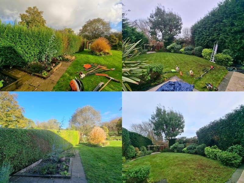 Garden hedges, borders and shrubs maintained by outdoor maintenance team.