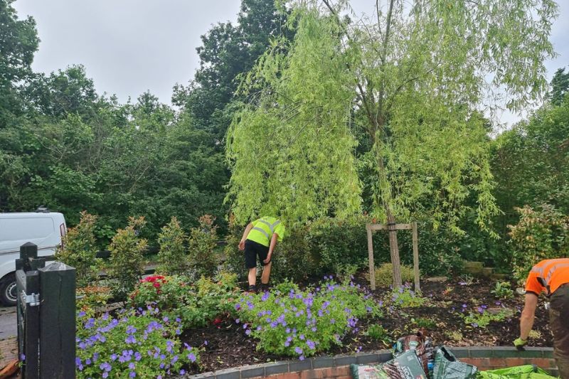 Soft landscaping planting works in Earlswood, Solihull. Selection of locally sourced summer plants being planted in raised border along driveway.