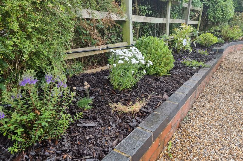Soft landscaping planting works in Earlswood, Solihull. Selection of locally sourced summer plants planted in garden border along driveway.