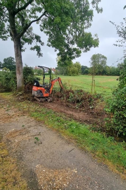 Soft landscaping planting works in Rowington, Warwick. Hedgerow removal works in progress.