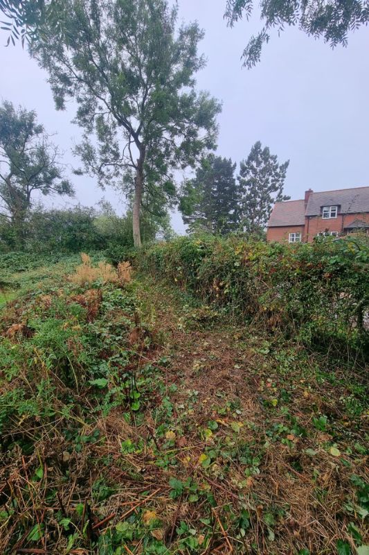 Soft landscaping planting works in Rowington, Warwick. Hedgerow clearance and removal works in progress in rear landscape.